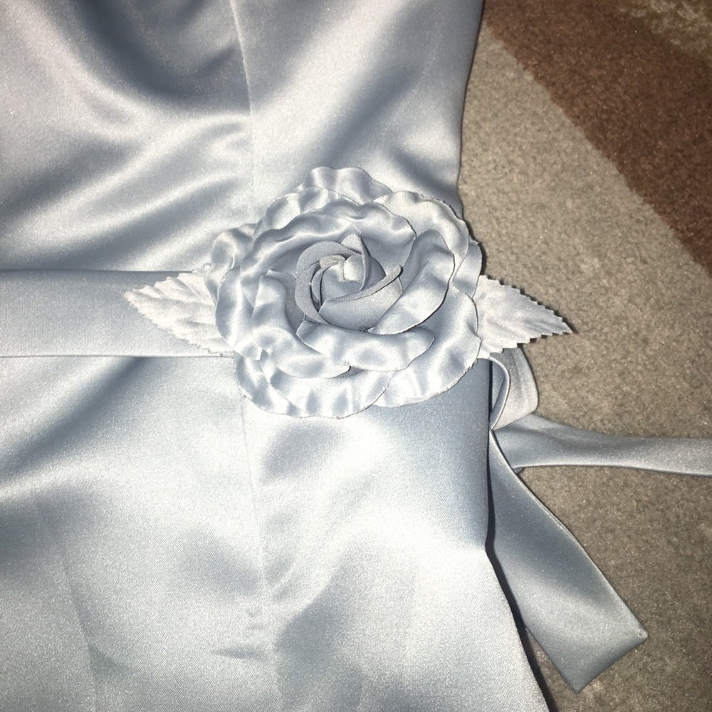 Size 8 BCBG Maxazria dress